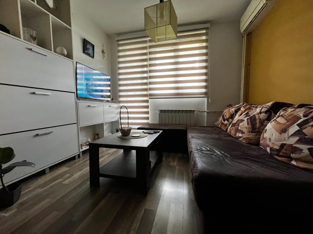 Ferienwohnung Sova Vrsac Exterior foto