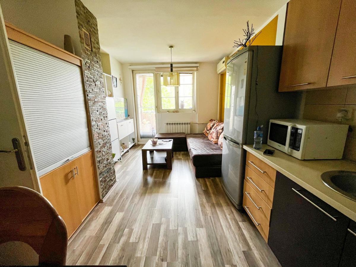Ferienwohnung Sova Vrsac Exterior foto